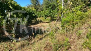 Land for sale in Marco de Canaveses, Portugal — €14,500