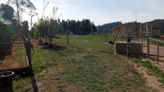 Land for sale in Oliveira de Azeméis, Portugal