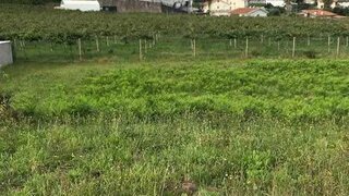 Land for sale in Santa Maria da Feira, Portugal — €47,000