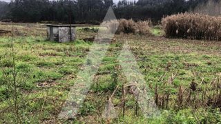 Land for sale in Anadia, Portugal — €31,000