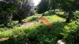 Terreno para venda em Ponte de Lima, Portugal — 25 000 €