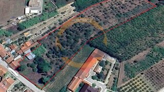 Land for sale in Anadia, Portugal — €89,000