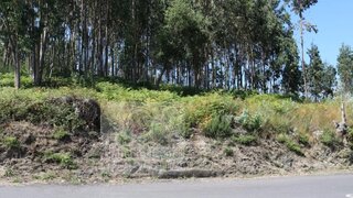 Land for sale in Paredes, Portugal — €60,000