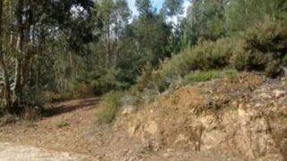 Land for sale in Celorico de Basto, Portugal — €18,750