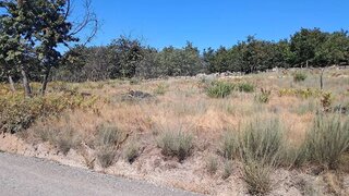 Land for sale in Baião, Portugal — €108,000