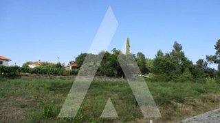 Land for sale in Anadia, Portugal — €35,000