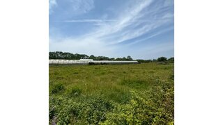 Land for sale in Vagos, Portugal — €78,000