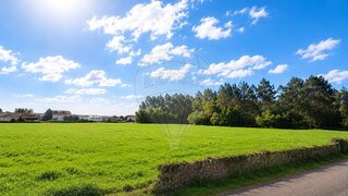 Land for sale in Oliveira de Azeméis, Portugal — €48,000