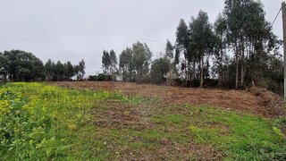 Land for sale in Estarreja, Portugal — €65,000