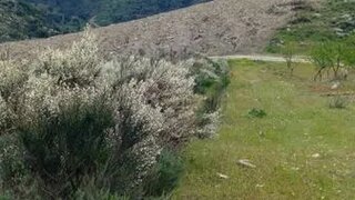 Land for sale in Torre de Moncorvo, Portugal — €19,000