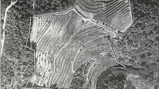 Land for sale in Carrazeda de Ansiães, Portugal — €56,000