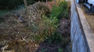 Terreno para venda em Amarante, Portugal — 12 000 €