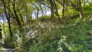 Land for sale in Amares, Portugal — €6,000