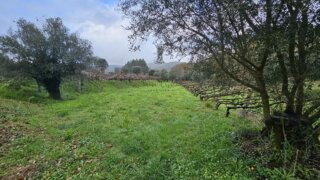Land for sale in Ponte de Lima, Portugal — €22,000