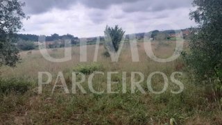 Terreno em Oliveira do Bairro