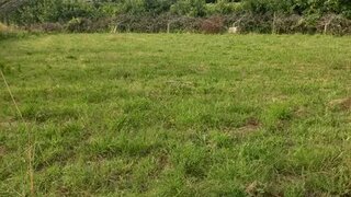 Land for sale in Arcos de Valdevez, Portugal — €28,000
