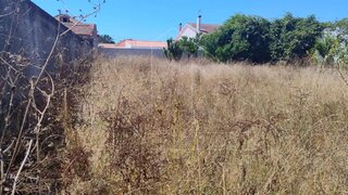 Land for sale in Vagos, Portugal — €50,000