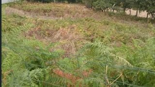 Land for sale in Penafiel, Portugal — €40,000