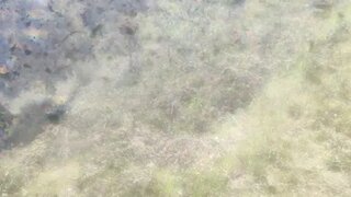 Terreno para venda em Torre de Moncorvo, Portugal — 100 000 €
