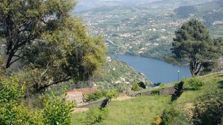 Land for sale in Baião, Portugal — €22,500