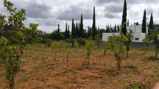 Land for sale in Oliveira de Azeméis, Portugal — €165,000