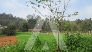 Land for sale in Águeda, Portugal — €15,000