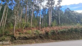 Land for sale in Santa Maria da Feira, Portugal — €110,000