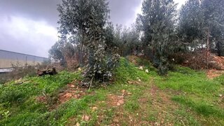 Land for sale in Trofa, Portugal — €397,000