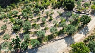 Land for sale in Torre de Moncorvo, Portugal — €10,000