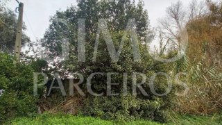 Land for sale in Oliveira do Bairro, Portugal — €13,500