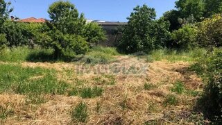 Land for sale in Castelo de Paiva, Portugal — €210,000