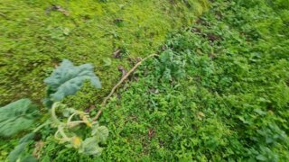 Land for sale in Penafiel, Portugal — €6,500