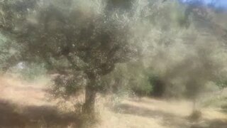 Terreno para venda em Torre de Moncorvo, Portugal — 5000 €