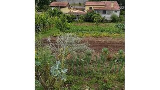Land for sale in Águeda, Portugal — €33,500