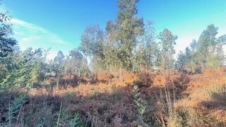 Land for sale in Vila Nova de Gaia, Portugal — €420,600