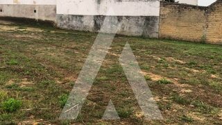 Land for sale in Anadia, Portugal — €29,000