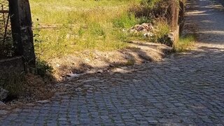Land for sale in Barcelos, Portugal — €85,000