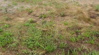 Land for sale in Vizela, Portugal — €144,675