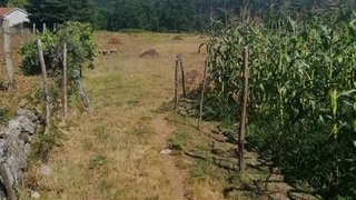 Terreno em Paredes de Coura