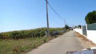 Land for sale in Oliveira de Azeméis, Portugal — €70,000