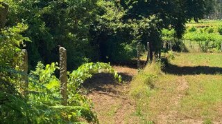 Land for sale in Barcelos, Portugal — €18,000