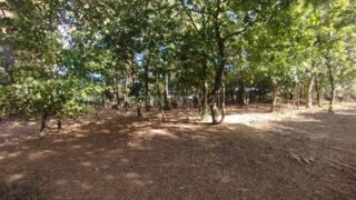 Land for sale in Santo Tirso, Portugal — €220,000