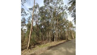 Land for sale in Oliveira do Bairro, Portugal — €17,500