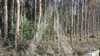 Land for sale in Águeda, Portugal — €105,000