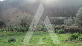 Land for sale in Anadia, Portugal — €35,000