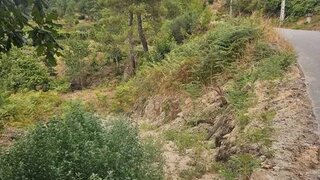 Terreno para venda em Ribeira de Pena, Portugal — 15 000 €