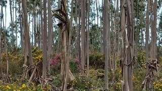 Land for sale in Águeda, Portugal — €23,500
