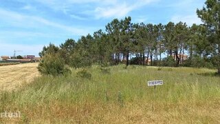 Land for sale in Vagos, Portugal — €53,000