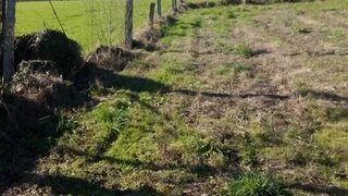 Land for sale in Barcelos, Portugal — €20,000