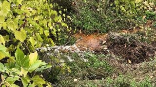 Land for sale in Torre de Moncorvo, Portugal — €9,500